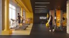 miniatura fitness